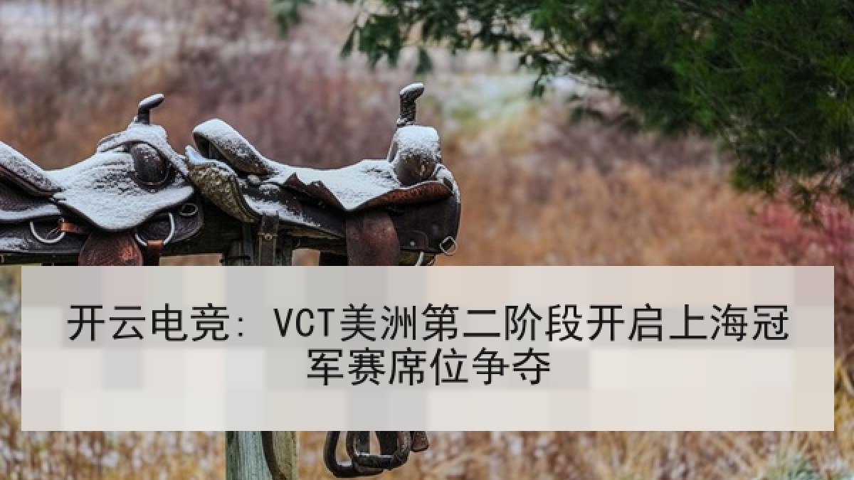 开云电竞: VCT美洲第二阶段开启上海冠军赛席位争夺